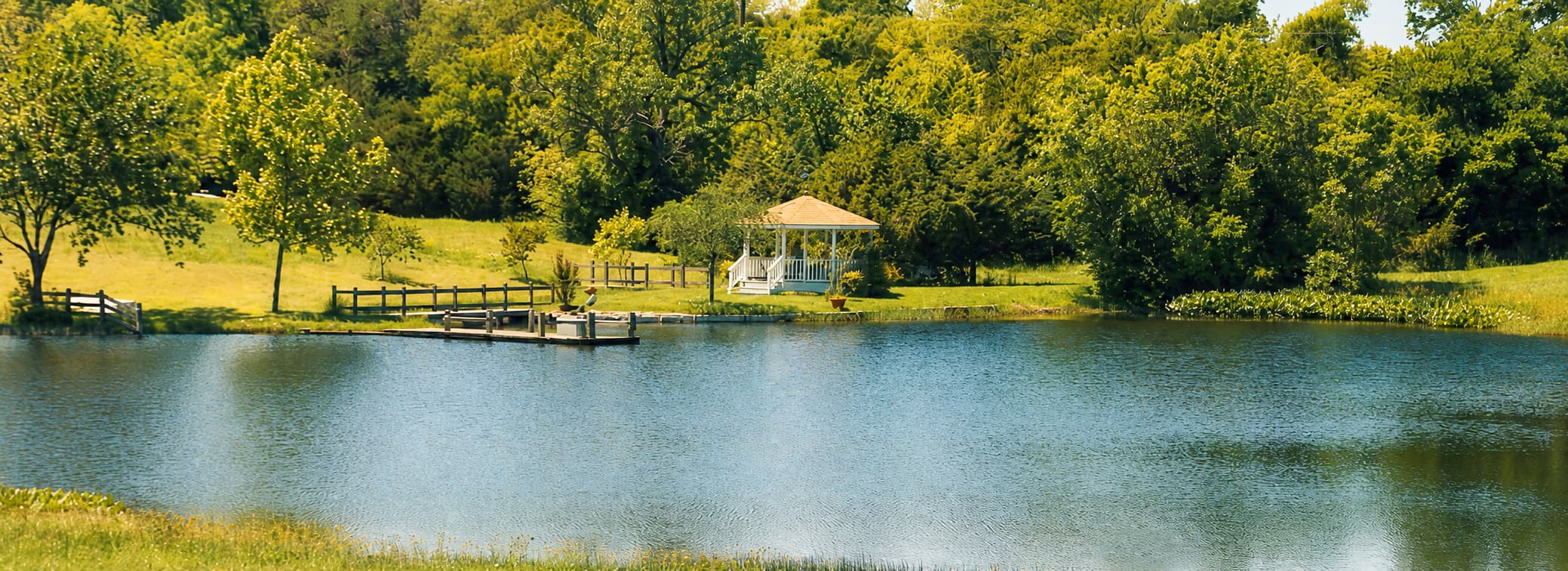 The pond and grounds at Willow Pond Venue
